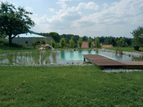 060725 005 Piscine-étang.jpg